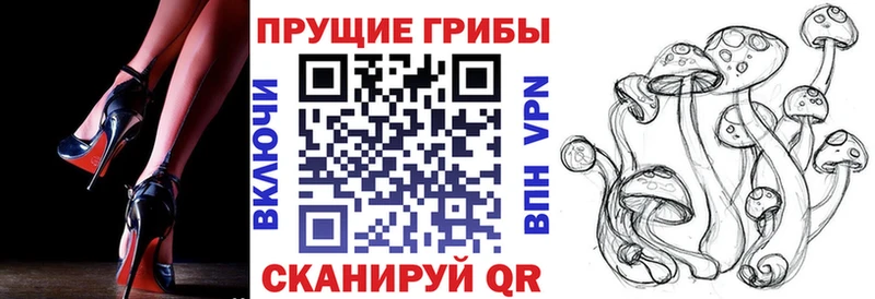 Псилоцибиновые грибы мухоморы  купить наркотик  мега маркетплейс  Починок 